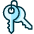 Login Keys Icon from Ultimate Duotone Set