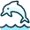 Marine Mammal Dolphin icon - Free transparent PNG, SVG. No sign up needed.