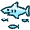 Shark Fish icon - Free transparent PNG, SVG. No sign up needed.