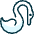 Swan 1 icon - Free transparent PNG, SVG. No sign up needed.