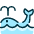 Whale Water icon - Free transparent PNG, SVG. No sign up needed.