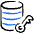 Database Key Icon from Freehand Duotone Set