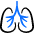 Medical Specialty Lungs Icon from Freehand Duotone Set | Free Download as SVG Vector and Transparent PNG | Streamline icons