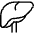Medical Specialty Liver Icon from Ultimate Light Set