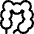 Medical Specialty Intestine Icon from Ultimate Regular Set