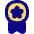 Medal Badge Star Icon from Flex Pop Set