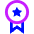 Medal Badge Star Icon from Sharp Neon Set