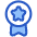 Medal Badge Star Icon from Plump Duo Set