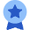 Medal Badge Star Icon from Core Flat Set