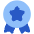 Star Badge Icon from Plump Flat Set