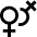 User Affection Lesbian icon - Free transparent PNG, SVG. No sign up needed.