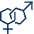 Gender Male Female Icon from Cyber Line - Free Set