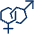 Gender Male Female Icon from Cyber Duotone - Free Set