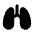 Lungs Icon from Tabler Filled Set | Free Download as SVG Vector and Transparent PNG | Streamline icons