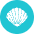 Clam Icon from Cryptocurrency Colors Set