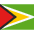 GY Guyana Icon from Flagpack Set