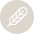 Poe Icon from Cryptocurrency Colors Set