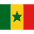 SN Senegal Icon from Flagpack Set