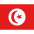 TN Tunisia Icon from Flagpack Set | Free Download as SVG Vector and Transparent PNG | Streamline icons