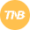 Tnb Icon from Cryptocurrency Colors Set