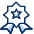 Badge Favorite Star icon - Free transparent PNG, SVG. No sign up needed.