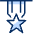 Medal Star 3 icon - Free transparent PNG, SVG. No sign up needed.