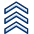Rank Army 2 icon - Free transparent PNG, SVG. No sign up needed.