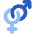 Gender Hetero icon - Free transparent PNG, SVG. No sign up needed.