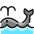 Whale Water icon - Free transparent PNG, SVG. No sign up needed.