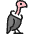 Wild Bird Vulture Icon from Ultimate Colors Set