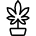Cannabis 3