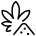 Cannabis 4