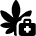 Cannabis Medicine 3