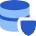 Database Shield