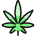 Drugs Cannabis
