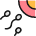 Pregnancy Sperm