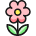 Flower 2