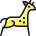 Giraffe Body 1