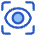 Interface Id Iris Scan