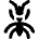 Insect Ant
