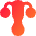 Gynecology Vagina Uterus Icon from Sharp Gradient Set