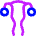 Gynecology Vagina Uterus Icon from Flex Neon Set