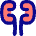Kidney Nephrology Icon from Flex Pop Set