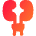 Urology Unirary Tract Icon from Flex Gradient Set