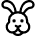 Rabbit 1