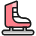 Skating Shoes