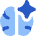 Artificial Intelligence Spark Icon from Flex Flat Set