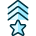 Army Badge