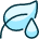 Organic Watering Plant