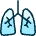 Medical Specialty Lungs